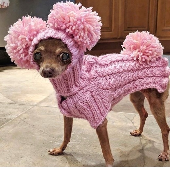 Meet your Posher, Sally - Picture 5 of 16